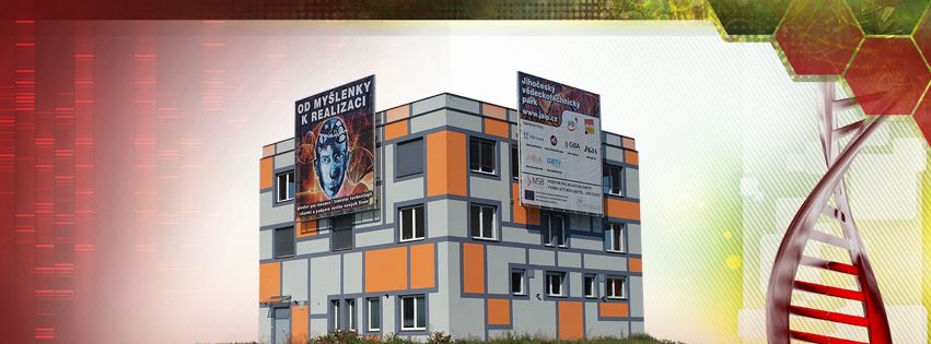 Community Rebuilding